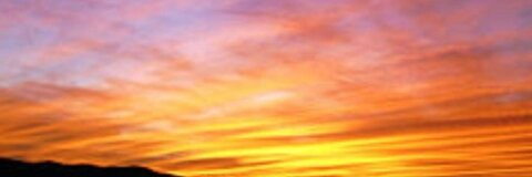 Lexus Dushek @lexusdushek cover picture