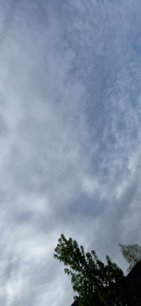 Lexxx @lexxxlovely cover picture