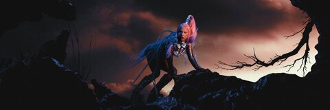 liam 🐝 @liamjhul cover picture