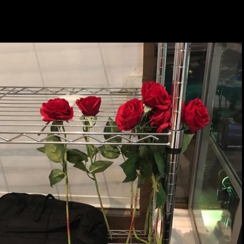 Rose @liarsxlove cover picture