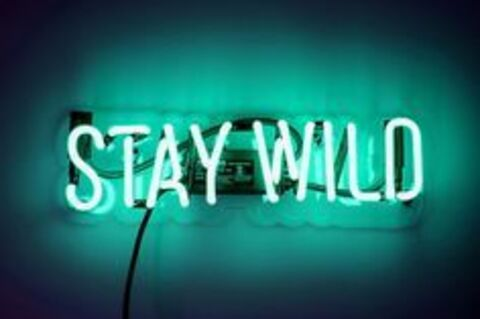 LikeADream @likeadream cover picture