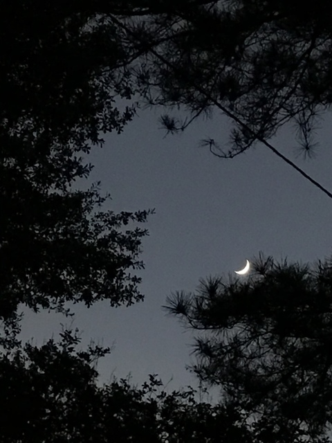 Tay @lil.tay cover picture