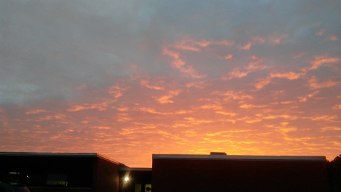 Lil Amorcita @lilamorcita69 cover picture