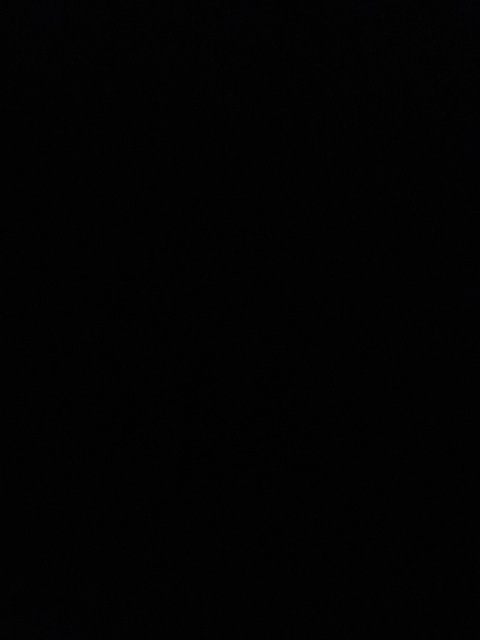 Will @lilaussiebastard cover picture