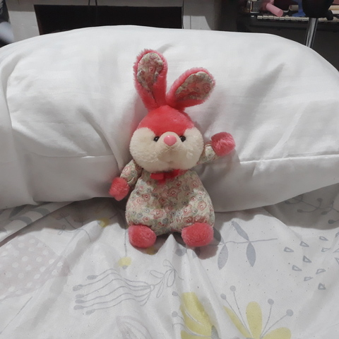 Lil Bunny @lilbunnyofficial cover picture