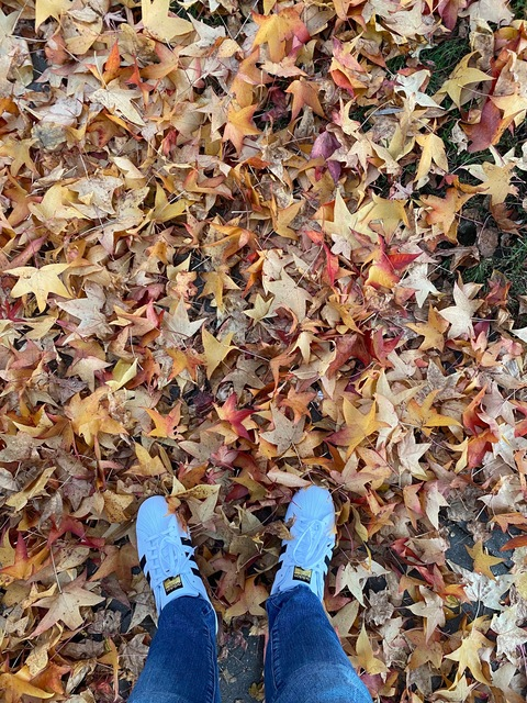 D. Bew @lildickybi cover picture