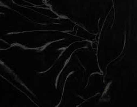 lilhushbunny @lilhushbunny cover picture