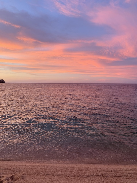 Lili_anita @lili_anita cover picture