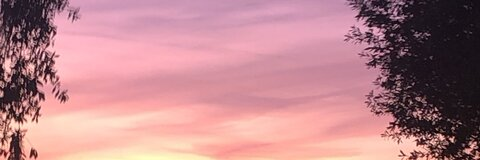 sav 🐍 @lilsavgem cover picture