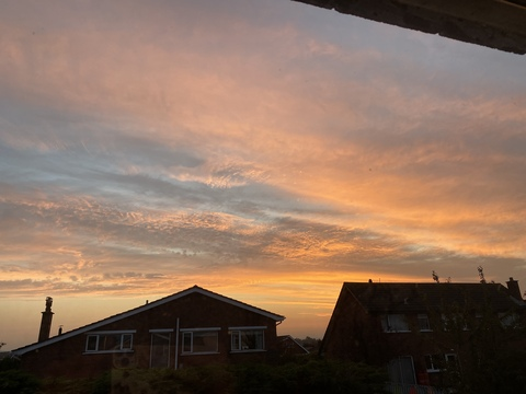 Lily 🌸 @lily_7 cover picture