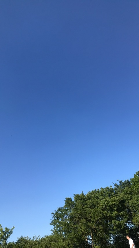 lily @lilyloo cover picture