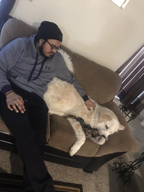 Roberto @lineagefeather cover picture