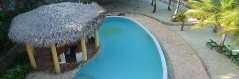 Linnea @linneas cover picture