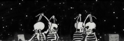 Linsey palm @linsey cover picture