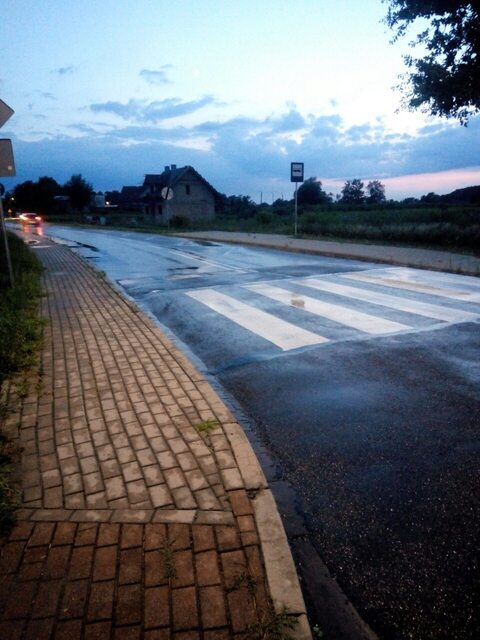 Little fairy @little_fairy cover picture