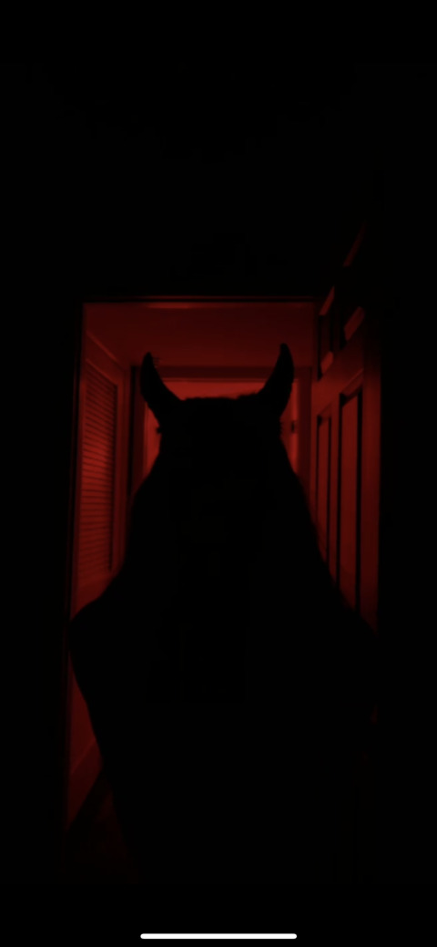 Lex @little_lexi cover picture