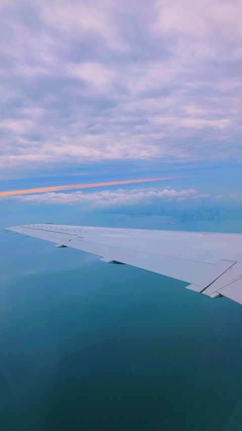 Xavier @little_pixie cover picture