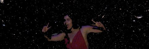 little cat @littlecat cover picture