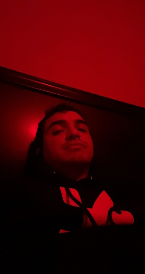 Little Ferb @littleferb cover picture