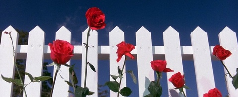 Idk @littlexhell cover picture