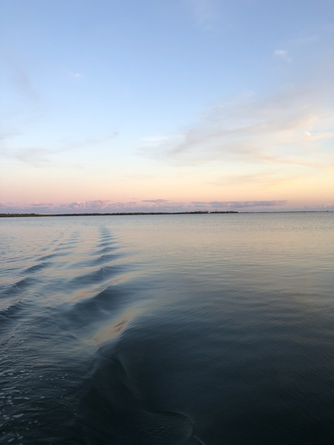 Olivia Skye 👼🏼 @liv.skye cover picture