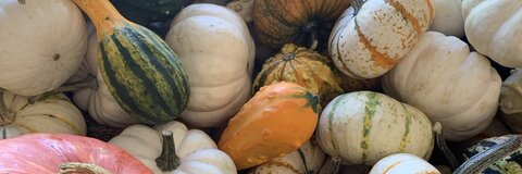 liv💋 @livjones2299 cover picture