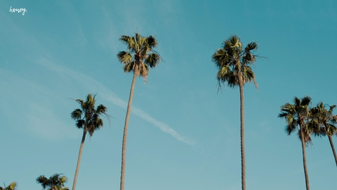 liv werth @livwerth cover picture