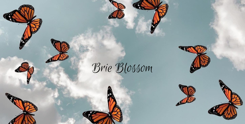 Lizeth Gamez @lizgmz cover picture