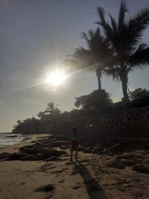 Lizip @lizip cover picture