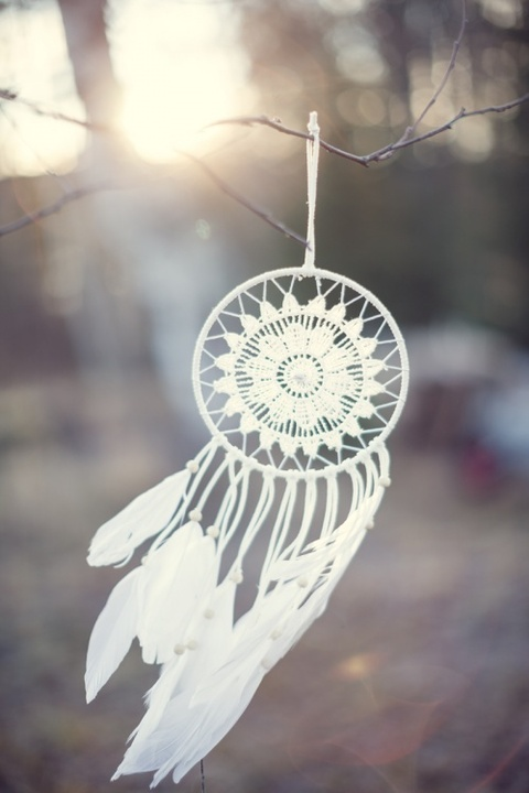 Lizza @lizzas cover picture