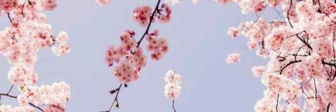 Lizzy96 @lizzy9617 cover picture