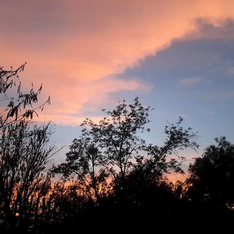 Lizeth gp @lizzz.gp cover picture