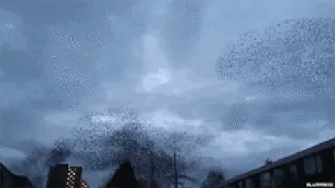 Llewellyn @llewellyn cover picture