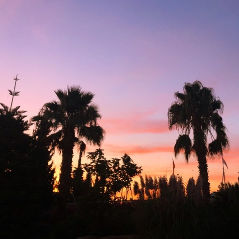 L Marie @lmarie cover picture