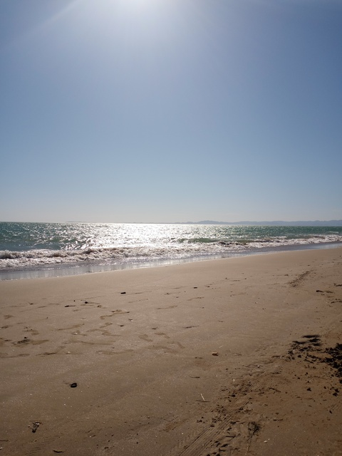 LOCA MEXICANA @locamexicana cover picture