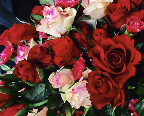 Lolabebe @lolabebe cover picture