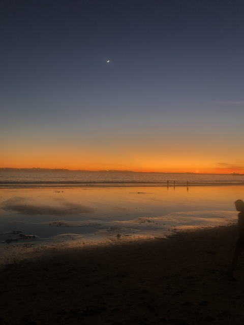 Lola King @lolakingsworld cover picture