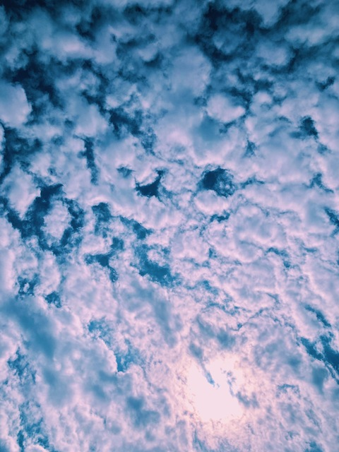 lola star @lolaright420 cover picture