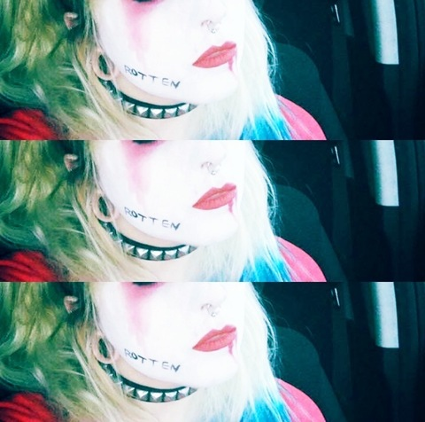 Lola Versailles @lolaversailles cover picture