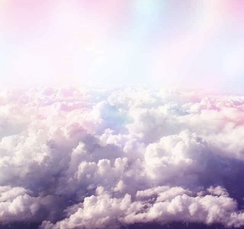 LoLo @lolotoes cover picture