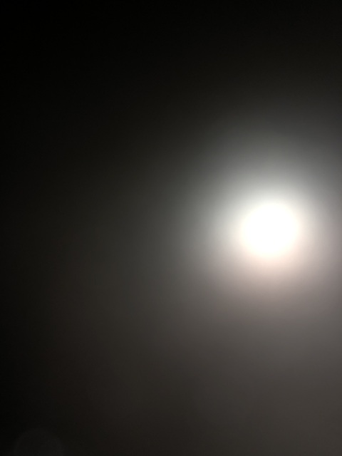 Jonny dough @longcockflacko cover picture