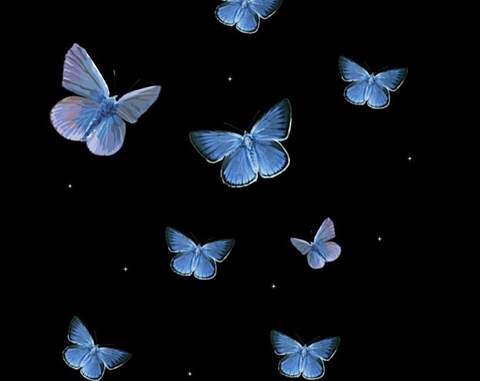 tina @longlivetina cover picture