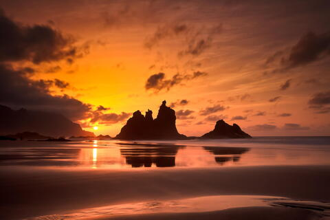 LÓPEZ @lopee cover picture