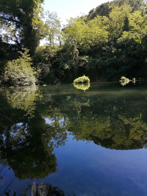 illore @lorelore cover picture