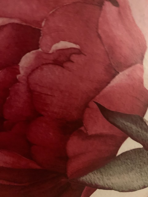 Lottie Niko @lottieniko06 cover picture