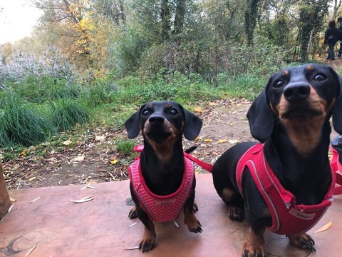 AnnaLouise @lou_23 cover picture