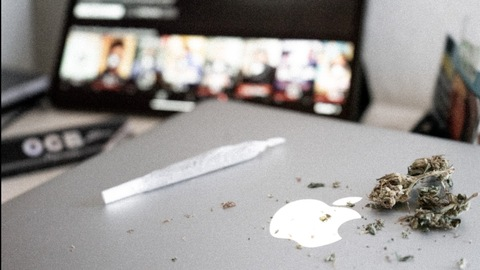 Lou @louinthejungle cover picture