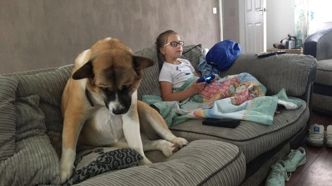 LouisR @louisr cover picture