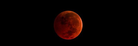 Morbitesse 🥀 @lovedegradation cover picture