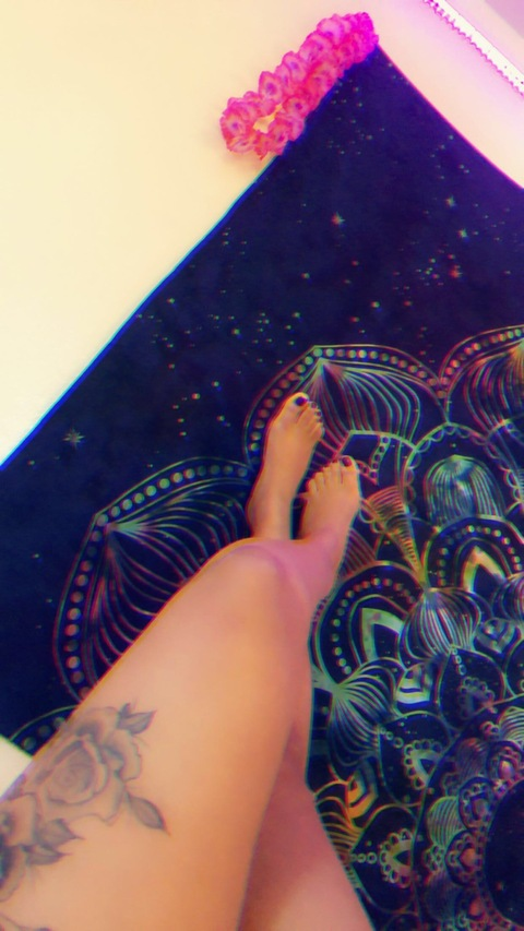 lioness17 @lovelioness cover picture